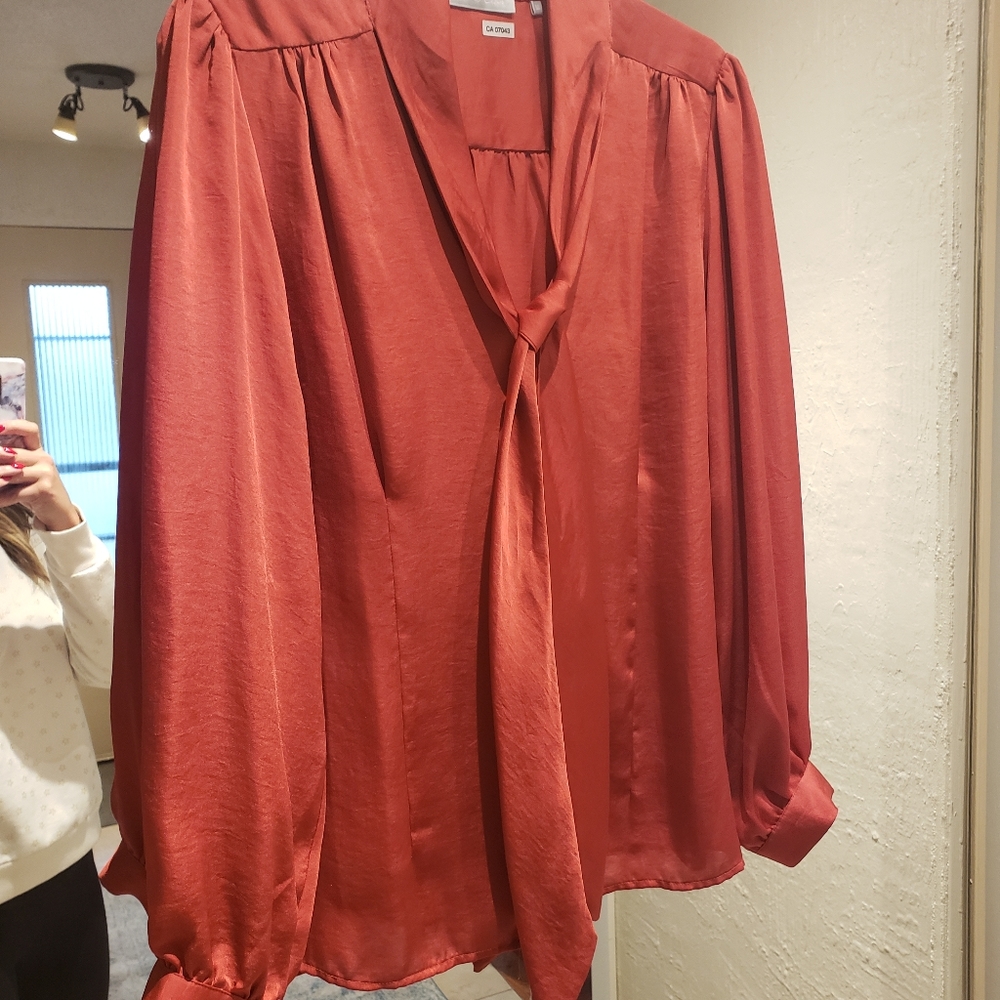 Rust colored blouse